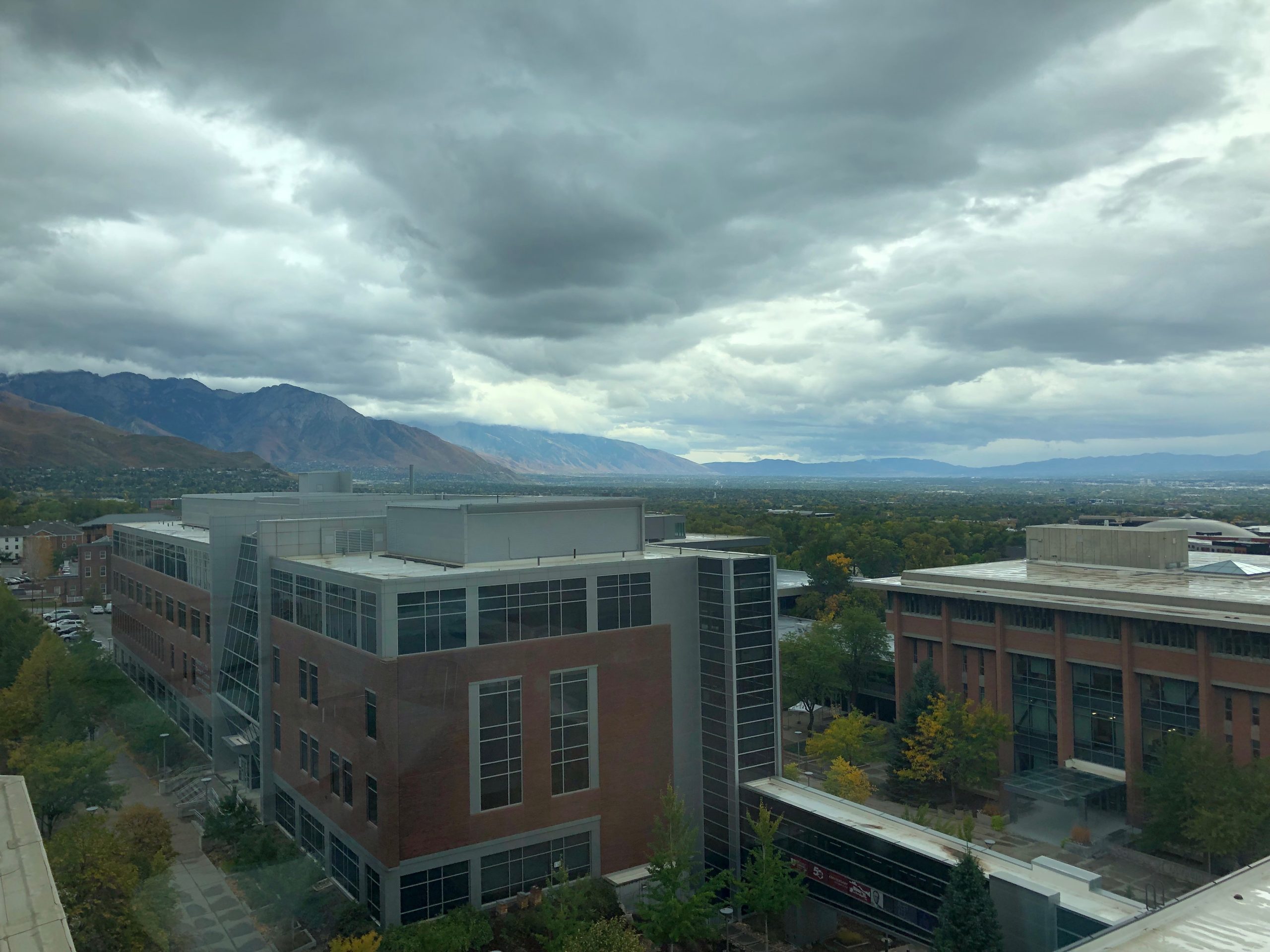 My story: Why I Used to Hate Self-help…and Still Do (Sometimes)